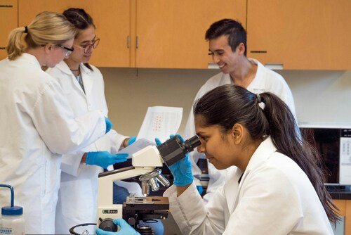 Inside IB Biology HL's New Extension Demands